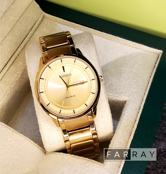 Citizen  Day-Date Watch