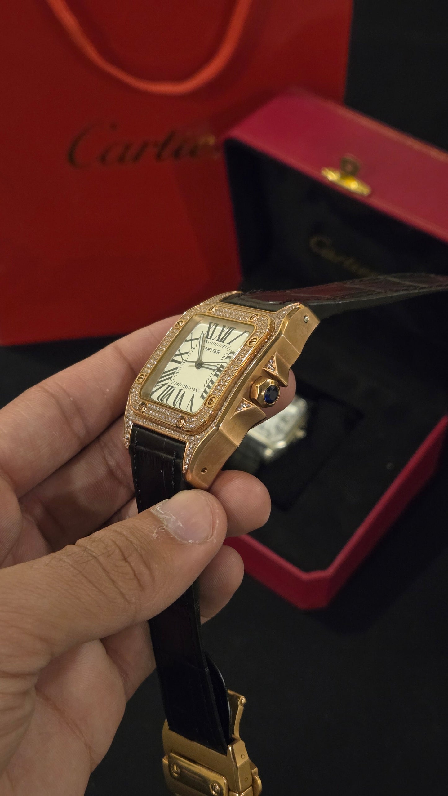 CARTIER - SANTOS BRSW