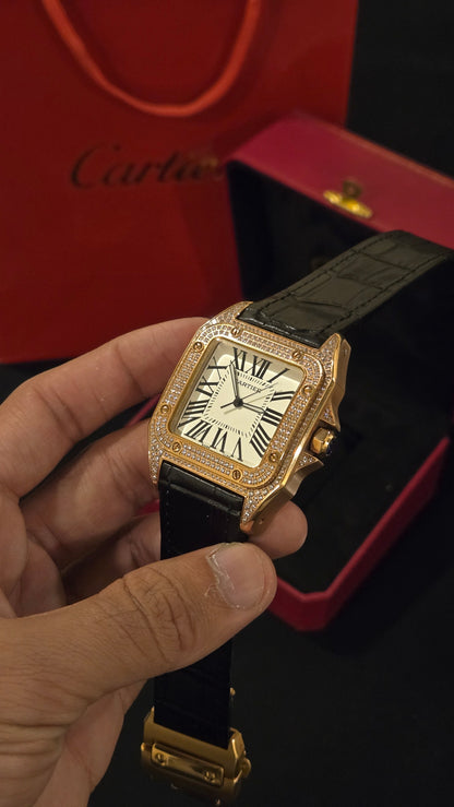 CARTIER - SANTOS BRSW